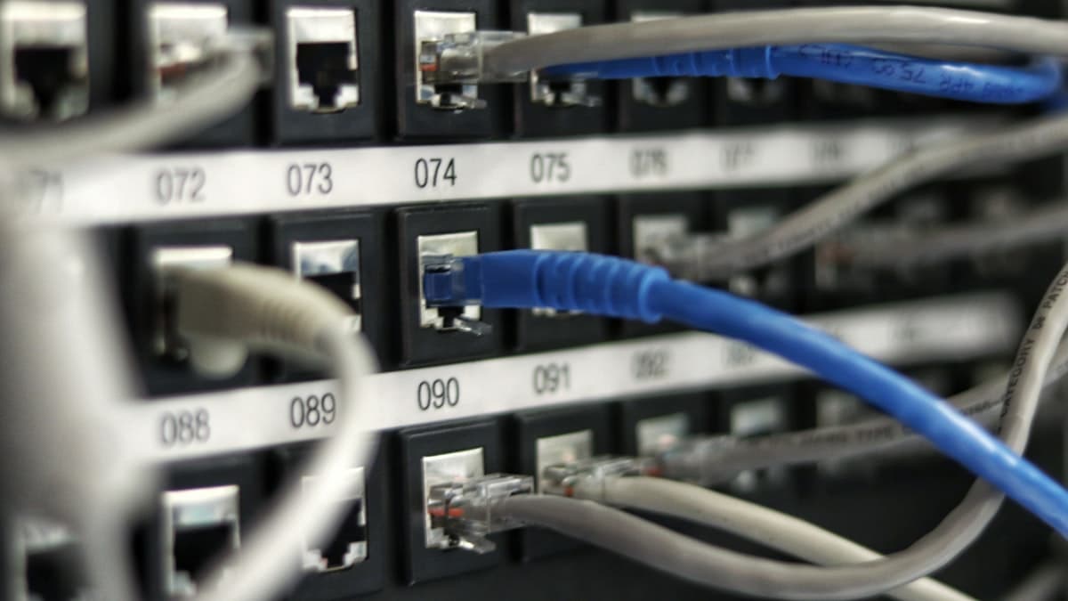 Numbered network patch panel with blue and grey Ethernet cables terminated into its ports
