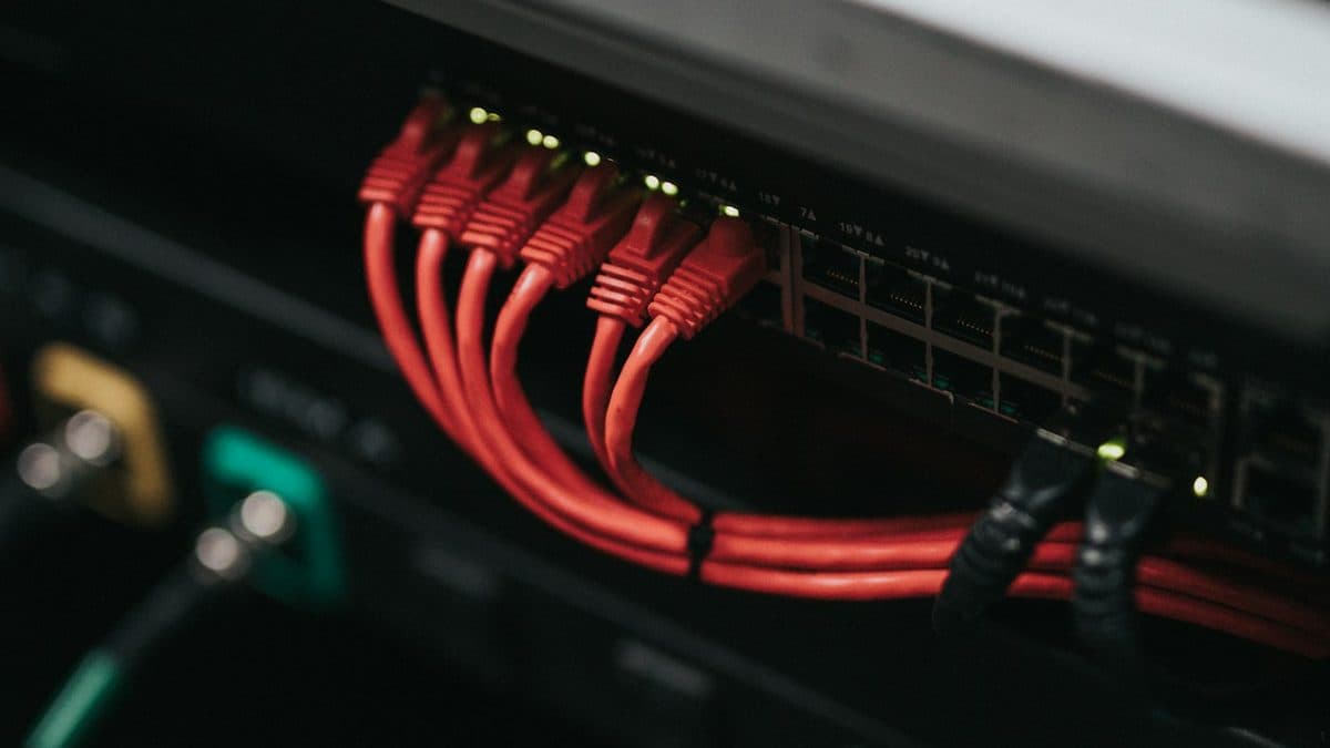 Red patch cables running into the ports of a rack-mounted security appliance